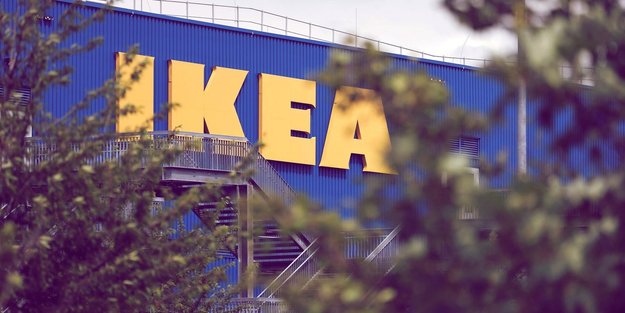 Krasser Ikea-Hack: Diese lebendige Pflanzen-Deko ist ein Blickfang
