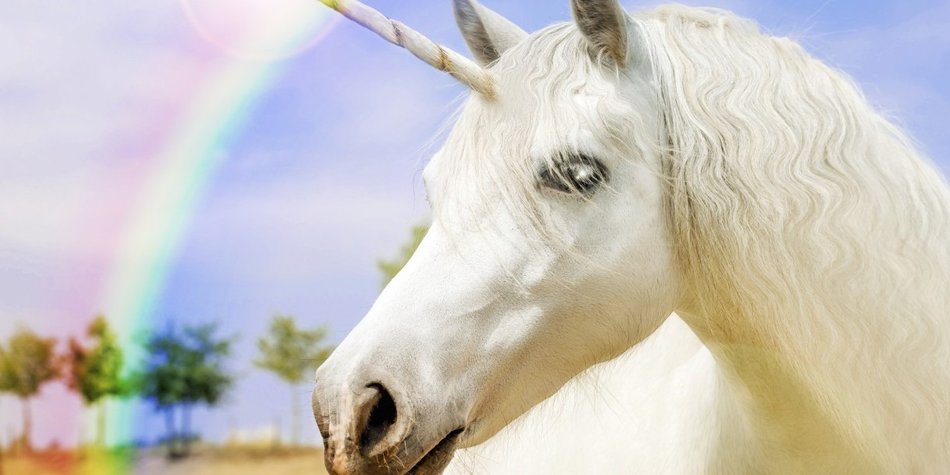 Einhorn: Die besten Produkte mit dem Trendtier Einhorn: Die besten Produkte mit dem Trendtier