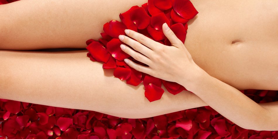 Blümchensex 2.0 – Nicht nur für Sex-Neulinge! Blümchensex 2.0 – Nicht nur für Sex-Neulinge!