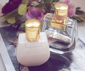 Unter 13 Euro: Unsere Top 5 Parfums von Rossmann, für die du garantiert Komplimente bekommst