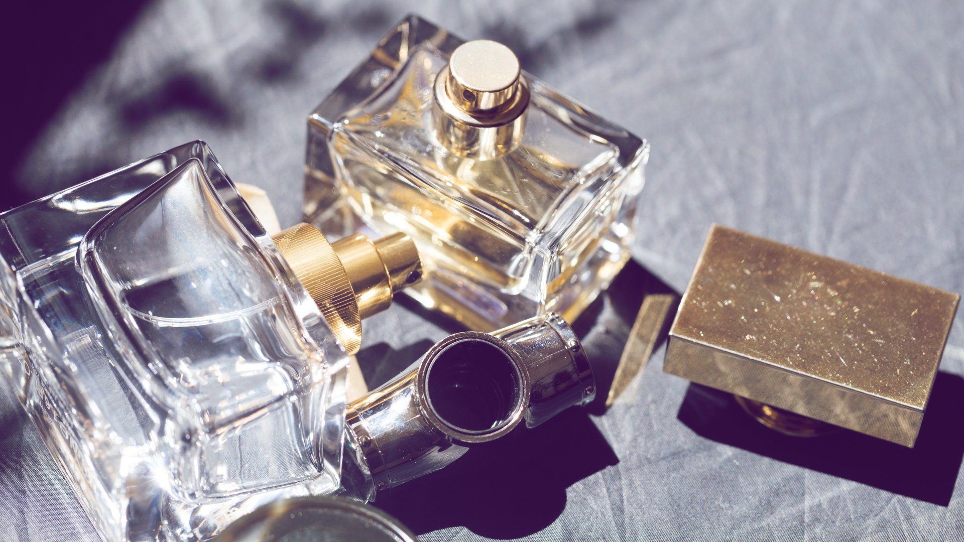 Parfum Trends 2024 Diese Damendüfte lieben wir im Frühling