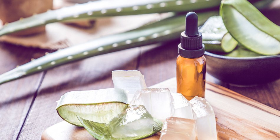 Für Wunden, Pickel & Haare: So wendest du Aloe Vera richtig an Für Wunden, Pickel & Haare: So wendest du Aloe Vera richtig an