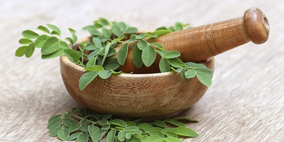 Moringa: Der tropische Wunderbaum? Moringa: Der tropische Wunderbaum?