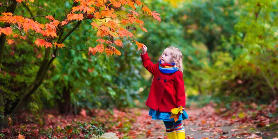Herbst im Kindergarten Herbst im Kindergarten