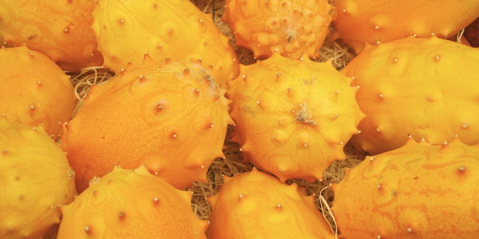 Kiwano-Frucht richtig essen: Wir zeigen es dir! Kiwano-Frucht richtig essen: Wir zeigen es dir!