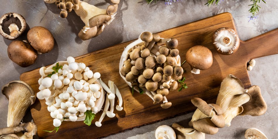 Sind Austernpilze gesund? Wir haben nachgeforscht! Sind Austernpilze gesund? Wir haben nachgeforscht!