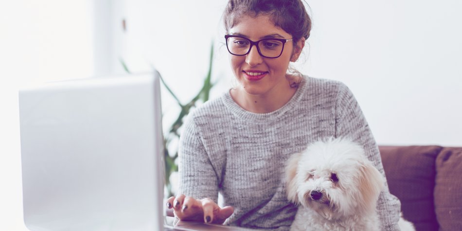 5 Gründe, warum Hunde im Büro alles besser machen 5 Gründe, warum Hunde im Büro alles besser machen