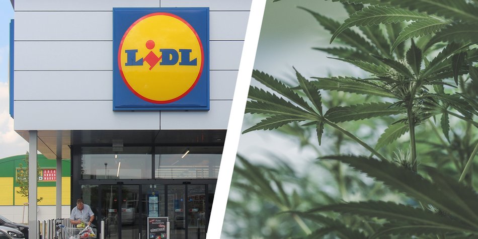 Legal zum Rauchen: Bei Lidl kannst du Cannabis kaufen Legal zum Rauchen: Bei Lidl kannst du Cannabis kaufen