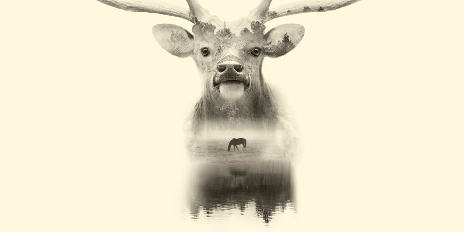 Double Exposure Tattoos, die uns verzaubern Double Exposure Tattoos, die uns verzaubern