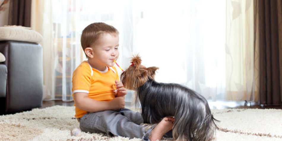 Haustiere gut für Babygesundheit Haustiere gut für Babygesundheit