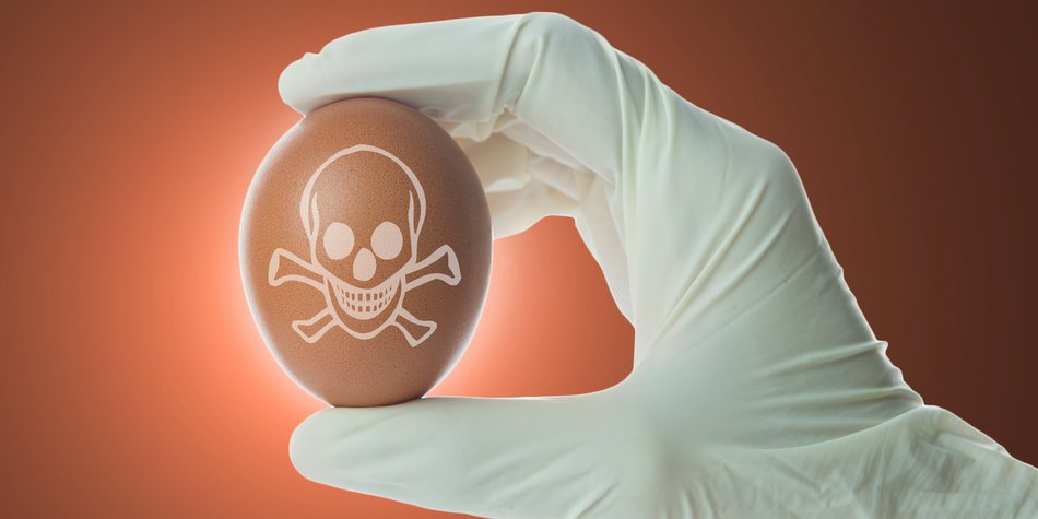 Vergiftete Eier: Diese Kennziffern sind betroffen Vergiftete Eier: Diese Kennziffern sind betroffen