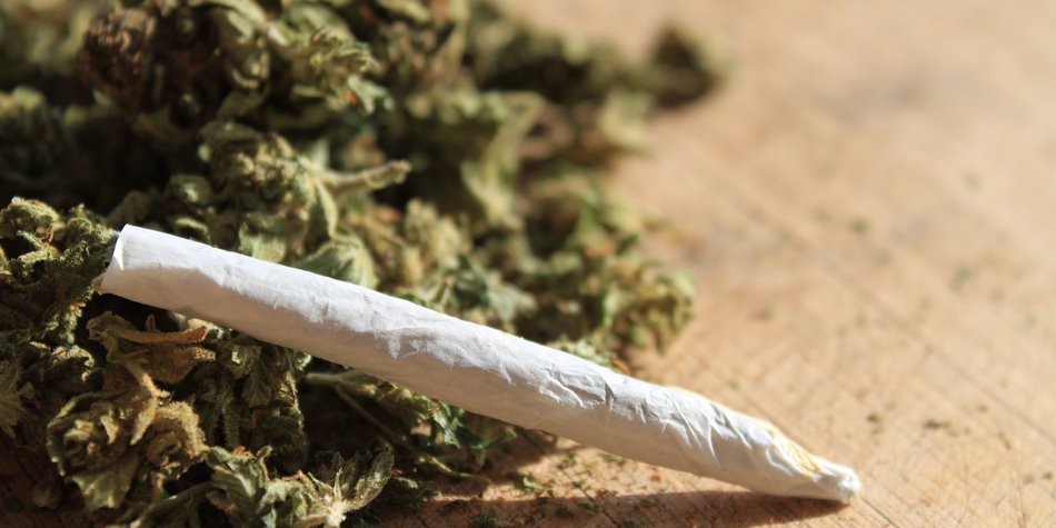 Hier kannst du jetzt Cannabis-Zigaretten kaufen Hier kannst du jetzt Cannabis-Zigaretten kaufen