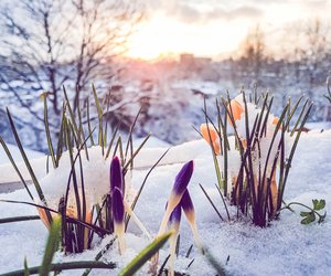 Der Winter kommt zurück: Vielerorts im März wieder Schnee erwartet