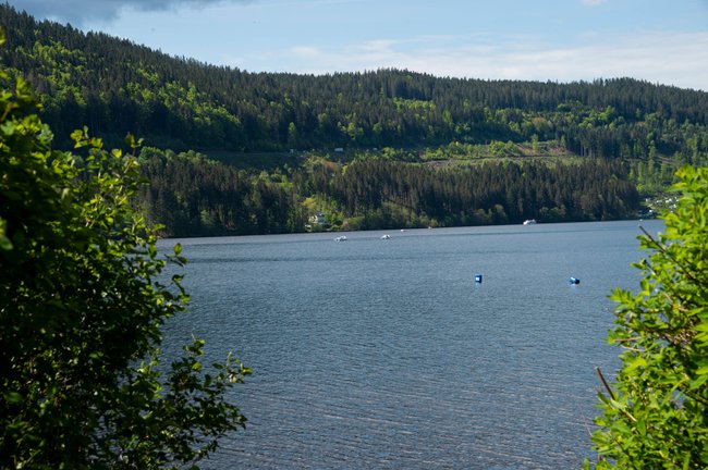 Der Titisee. Der Titisee.
