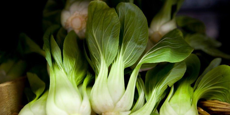 Wie gesund ist Pak Choi wirklich? Wie gesund ist Pak Choi wirklich?