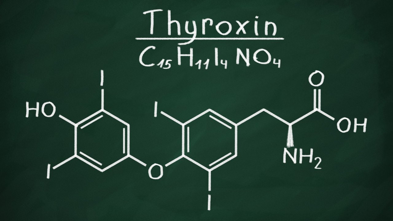 L-Thyroxin abnehmen