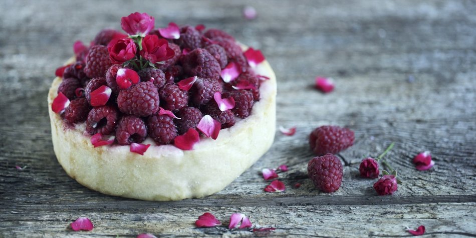 Alle lieben Käsekuchen! Alle lieben Käsekuchen!