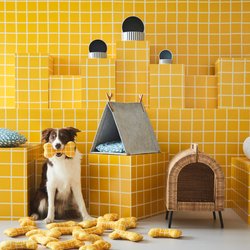 Tierliebe bei Ikea: Wir stellen die Haustierkollektion UTSÅDD vor