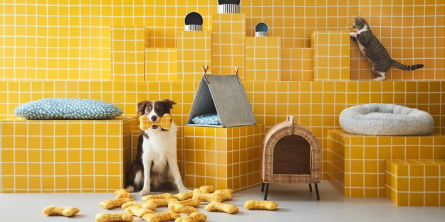 Tierliebe bei Ikea: Wir stellen die Haustierkollektion UTSÅDD vor