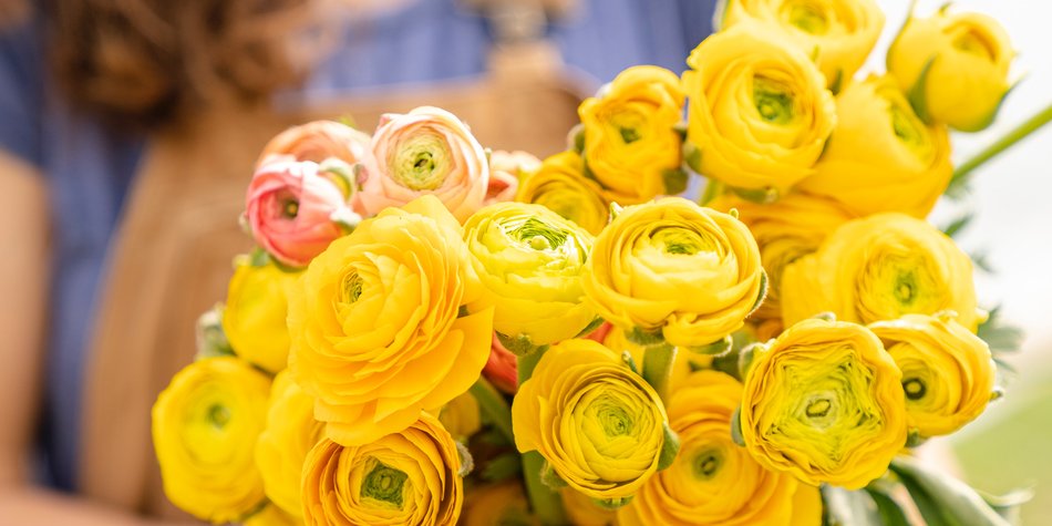 Ranunkel Bedeutung: Was steckt hinter der Blume? Ranunkel Bedeutung: Was steckt hinter der Blume?