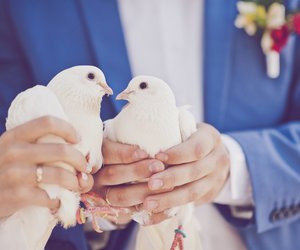 Hochzeitstauben: Warum du auf diesen Brauch verzichten solltest & schöne Alternativen