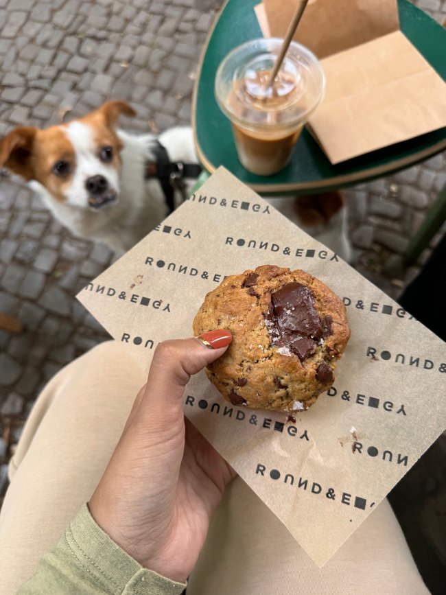 Chocolate Cookie Chocolate Cookie