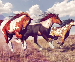 Die Bedeutung des Pferde-Tattoos: So zeigst du deine Liebe zum Tier