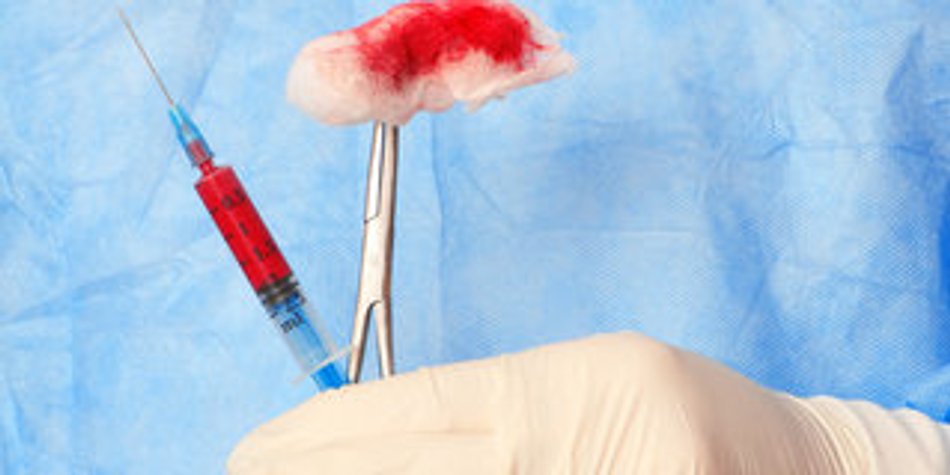 Gebärmutter-Transplantation in Schweden Gebärmutter-Transplantation in Schweden