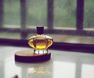 Leichte Düfte für den Alltag: Diese drei Parfums sind ein absolutes Muss