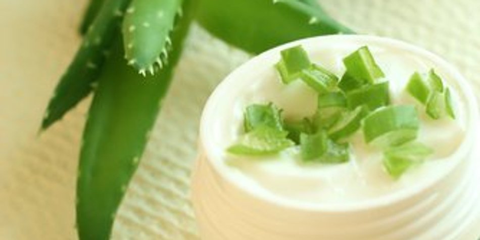 Aloe Vera: Ein echtes Allroundtalent Aloe Vera: Ein echtes Allroundtalent