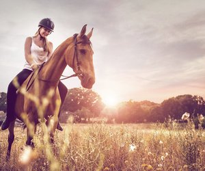 Kalorienverbrauch beim Reiten: So anstrengend ist Reiten wirklich!