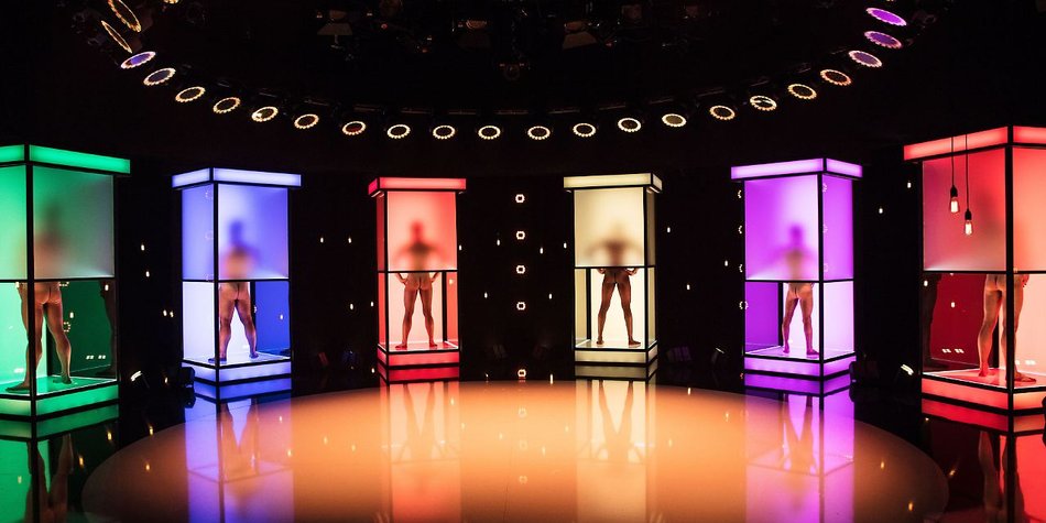 Naked Attraction: Nackte Promis in Staffel 2? Naked Attraction: Nackte Promis in Staffel 2?