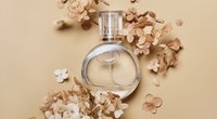 Jetzt bei dm: Alle wollen dieses blumige Vanille-Parfum für 4 Euro