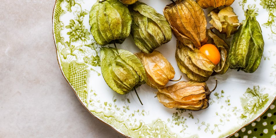 Darum ist die Physalis gesund Darum ist die Physalis gesund