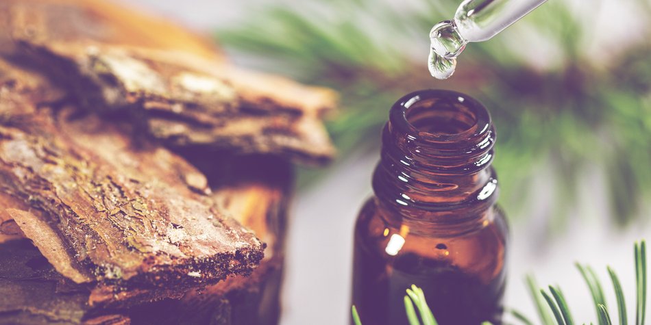 Pycnogenol: Unser neues Lieblings-Serum kostet nur 10 Euro! Pycnogenol: Unser neues Lieblings-Serum kostet nur 10 Euro!