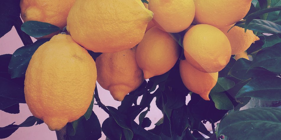 Wie gesund sind Zitronen? Wie gesund sind Zitronen?