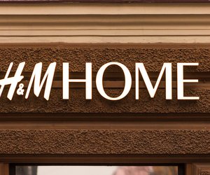 Blumenpracht für deinen Balkon: Die Lavendelpflanze von H&M Home ist der Renner