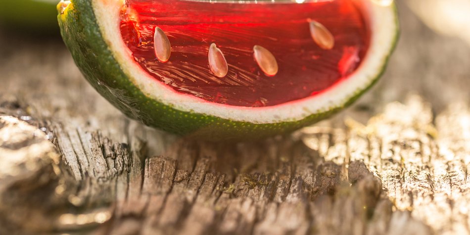 Aus Wackelpudding mit Wodka diese Shots zaubern Aus Wackelpudding mit Wodka diese Shots zaubern