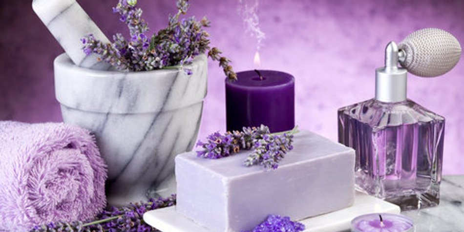 Lavendel – eine richtig dufte Pflanze Lavendel – eine richtig dufte Pflanze