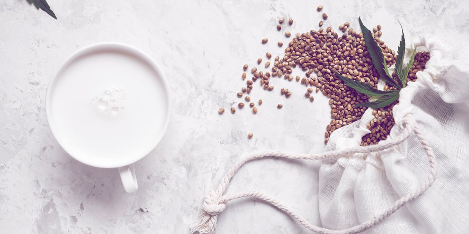 Hanfmilch selber machen: Die schnellste Methode für die vegane Milchalternative Hanfmilch selber machen: Die schnellste Methode für die vegane Milchalternative