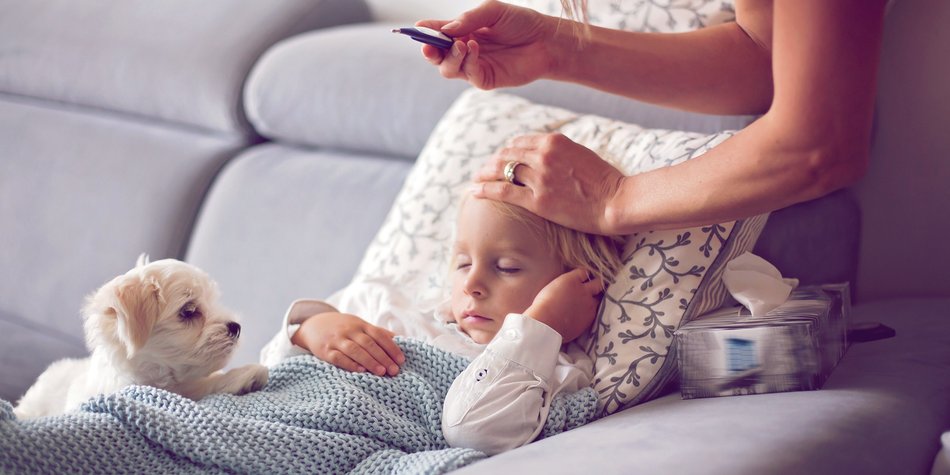 Meningokokken: Alles über Symptome, Behandlung und Vorbeugung Meningokokken: Alles über Symptome, Behandlung und Vorbeugung