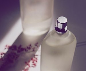 7 Parfums von Rossmann, die dir mehr Leichtigkeit verleihen