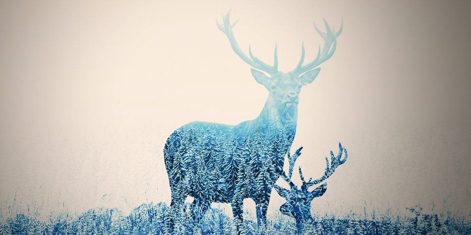 29 wunderschöne Patronus-Tattoos, die du lieben wirst 29 wunderschöne Patronus-Tattoos, die du lieben wirst