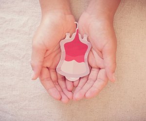 Wie hoch ist der Kalorienverbrauch bei der Plasmaspende?