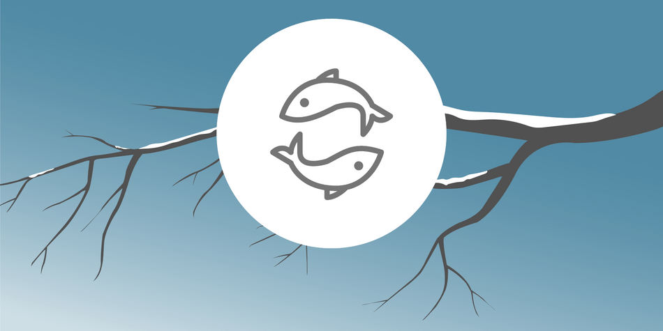 Fische Fische
