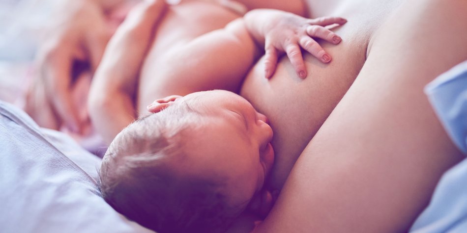 Milchbildung: So kannst du die Produktion der Muttermilch anregen Milchbildung: So kannst du die Produktion der Muttermilch anregen