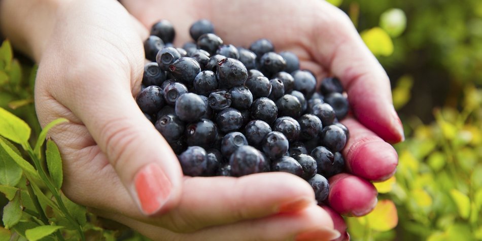 Power-Beere Acai: Das kann das Superfood Power-Beere Acai: Das kann das Superfood