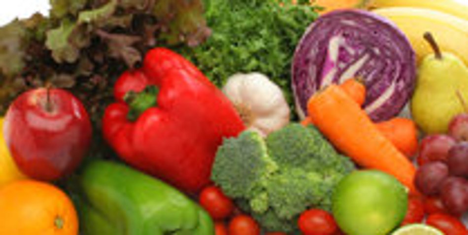 Ernährungswissenschaften Ernährungswissenschaften