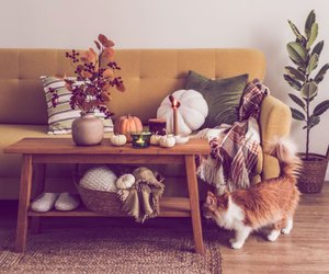 Kuscheliger Herbst unter 20 Euro: Die schönsten Deko-Highlights von Bonprix