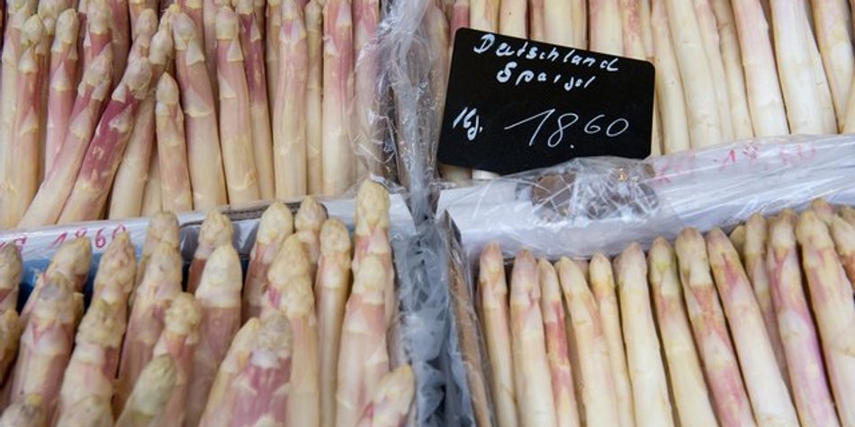 So erkennen Sie frischen Spargel So erkennen Sie frischen Spargel